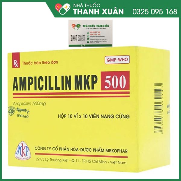 Ampicillin MKP 500 - Điều trị các trường hợp nhiễm khuẩn